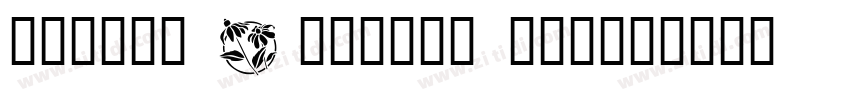 Winter Flowers Scrip字体转换